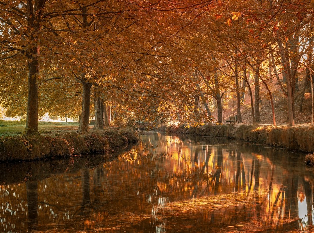 Memes Sobre la Vida Social y las Amistades