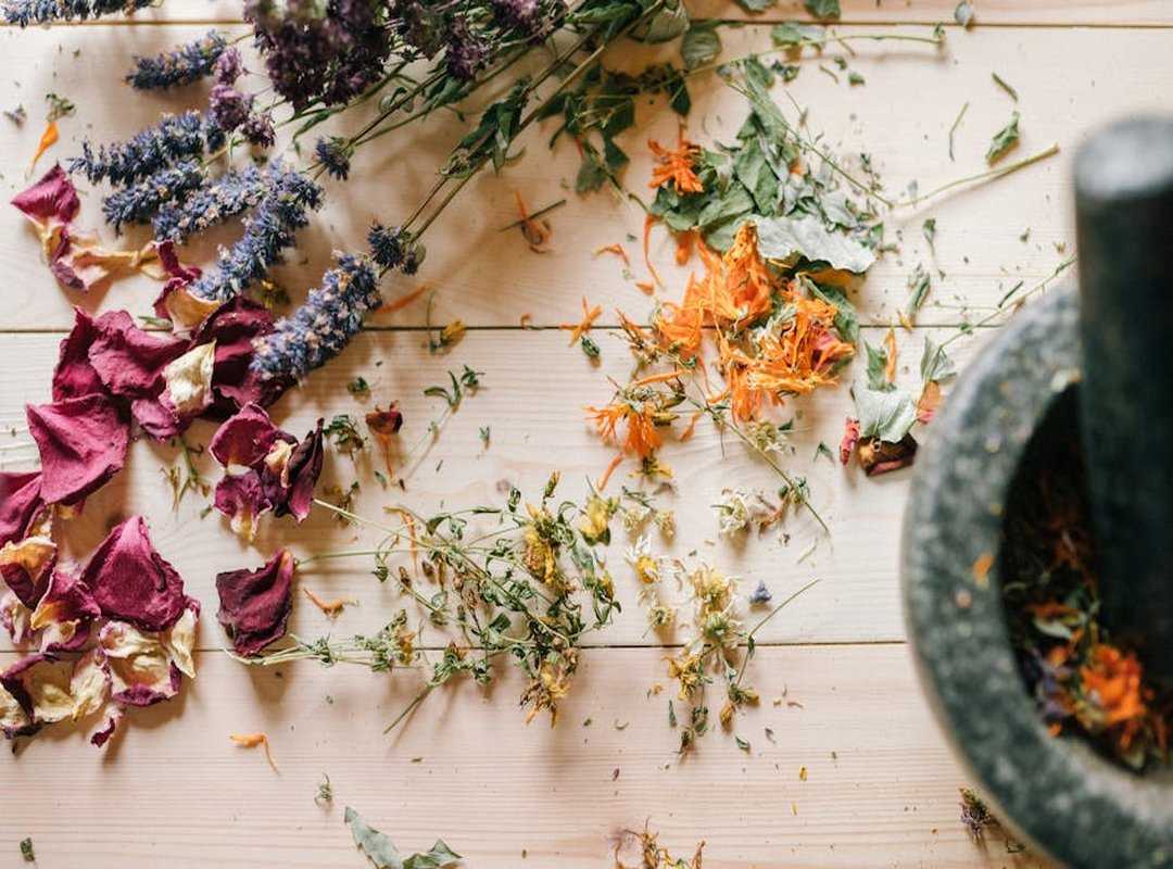 herbal remedies for beginners
