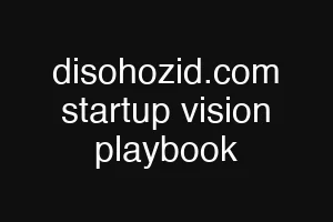 disohozid.com startup vision playbook