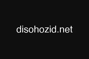 disohozid.net